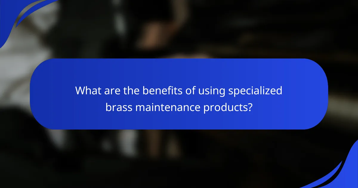 What are the benefits of using specialized brass maintenance products?