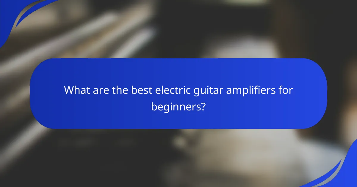 What are the best electric guitar amplifiers for beginners?
