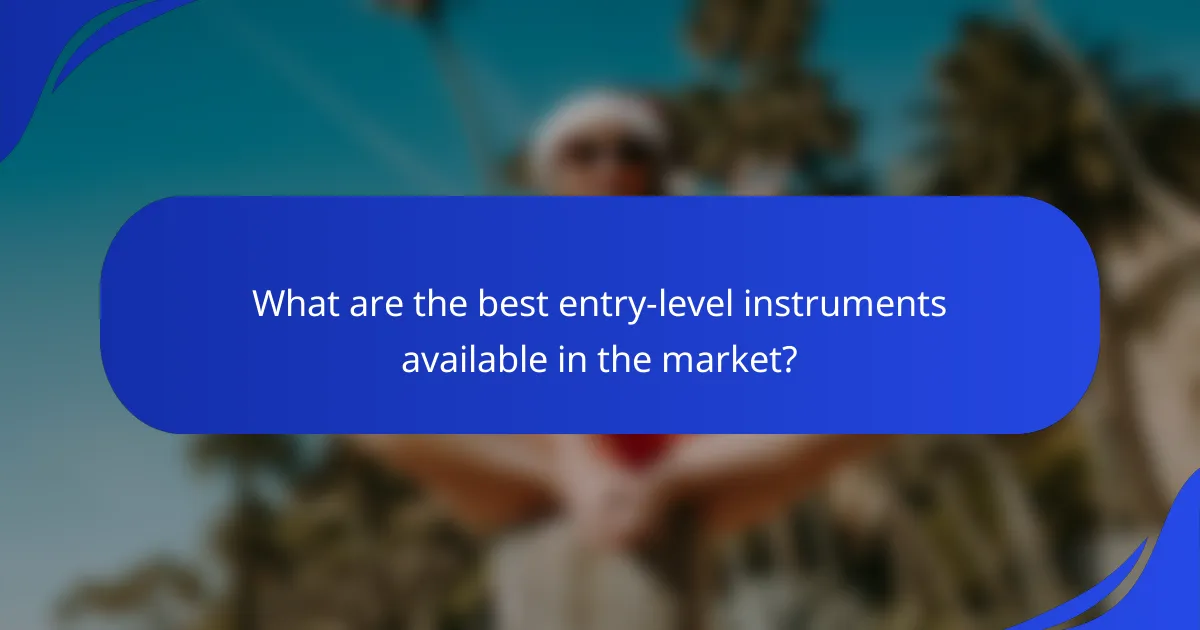What are the best entry-level instruments available in the market?