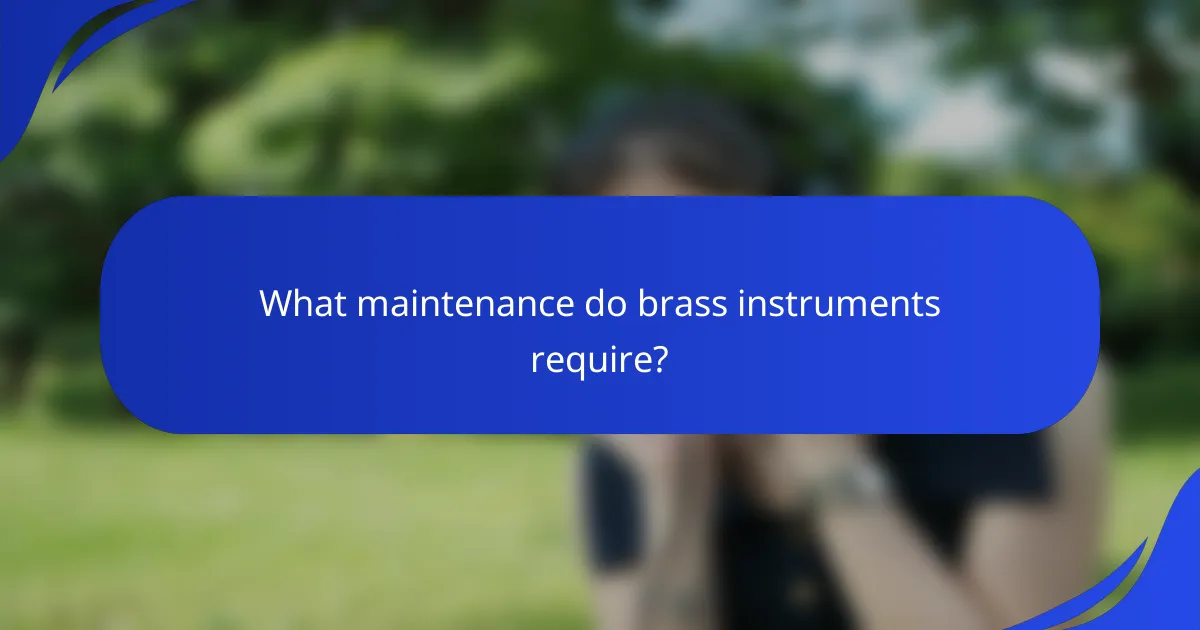 What maintenance do brass instruments require?